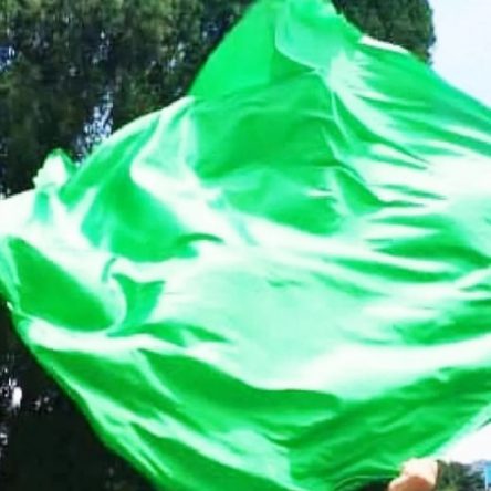 Green Angelic Quill Flag